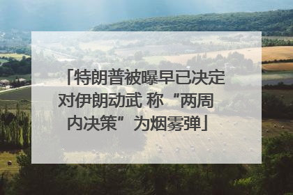 特朗普被曝早已决定对伊朗动武 称“两周内决策”为烟雾弹