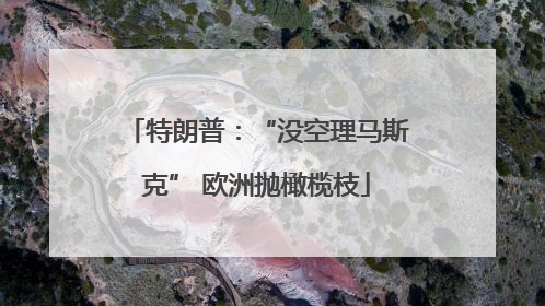 特朗普：“没空理马斯克” 欧洲抛橄榄枝