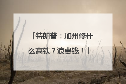 特朗普：加州修什么高铁？浪费钱！