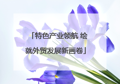 特色产业领航 绘就外贸发展新画卷