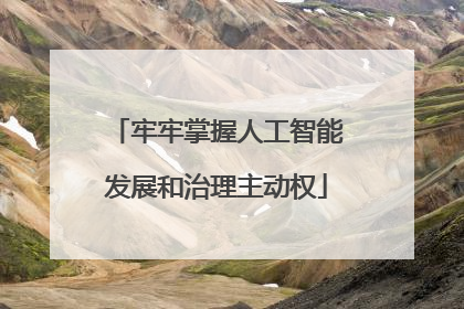 牢牢掌握人工智能发展和治理主动权