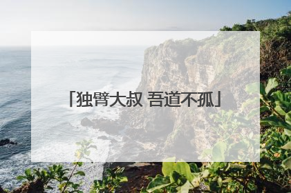 独臂大叔 吾道不孤