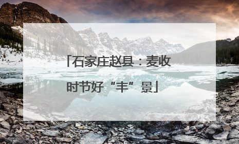 石家庄赵县：麦收时节好“丰”景