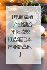 电商赋能，产业融合 平阳腾蛟打造笔记本产业新高地