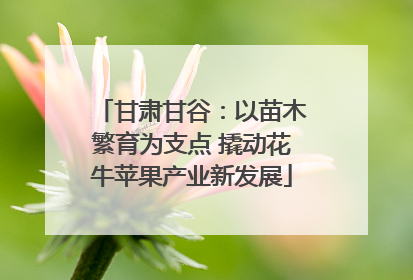 甘肃甘谷：以苗木繁育为支点 撬动花牛苹果产业新发展