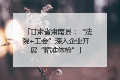 甘肃省肃南县：“法院+工会”深入企业开展“精准体检”