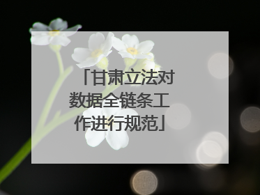 甘肃立法对数据全链条工作进行规范