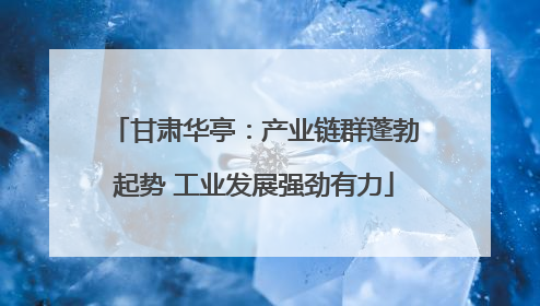 甘肃华亭：产业链群蓬勃起势 工业发展强劲有力
