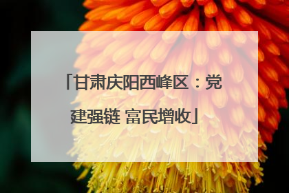 甘肃庆阳西峰区：党建强链 富民增收