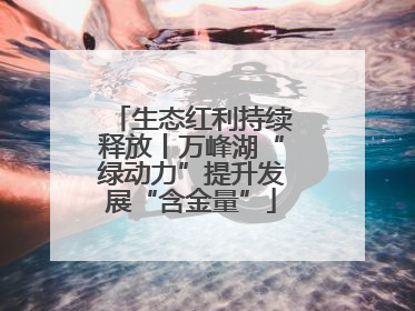 生态红利持续释放丨万峰湖“绿动力”提升发展“含金量”