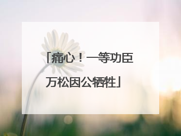 痛心！一等功臣万松因公牺牲