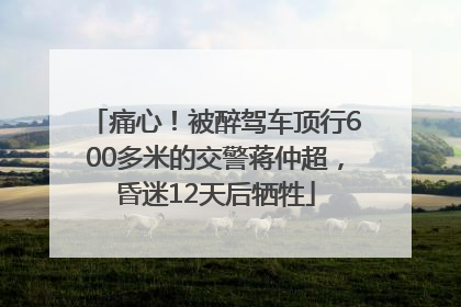 痛心！被醉驾车顶行600多米的交警蒋仲超，昏迷12天后牺牲