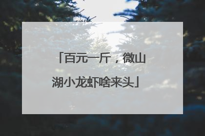 百元一斤，微山湖小龙虾啥来头