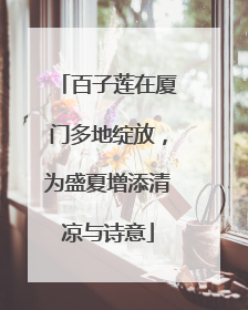 百子莲在厦门多地绽放，为盛夏增添清凉与诗意
