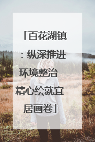 百花湖镇：纵深推进环境整治 精心绘就宜居画卷