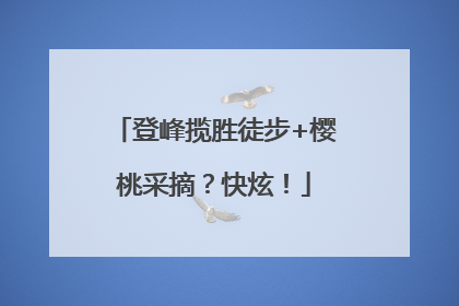 登峰揽胜徒步+樱桃采摘？快炫！