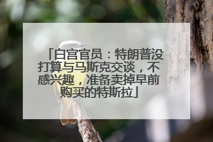 白宫官员：特朗普没打算与马斯克交谈，不感兴趣，准备卖掉早前购买的特斯拉