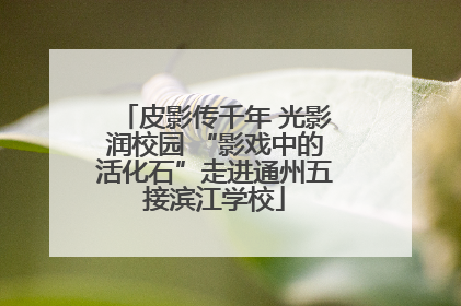 皮影传千年 光影润校园 “影戏中的活化石”走进通州五接滨江学校