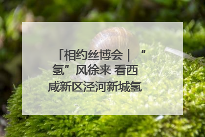 相约丝博会｜“氢”风徐来 看西咸新区泾河新城氢能产业聚链成势