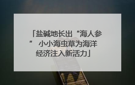 盐碱地长出“海人参” 小小海虫草为海洋经济注入新活力