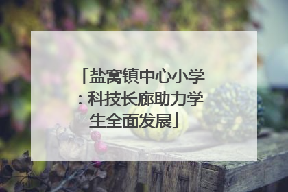 盐窝镇中心小学：科技长廊助力学生全面发展