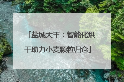 盐城大丰：智能化烘干助力小麦颗粒归仓