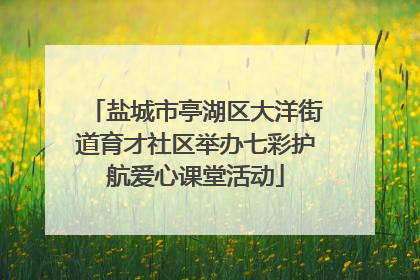 盐城市亭湖区大洋街道育才社区举办七彩护航爱心课堂活动