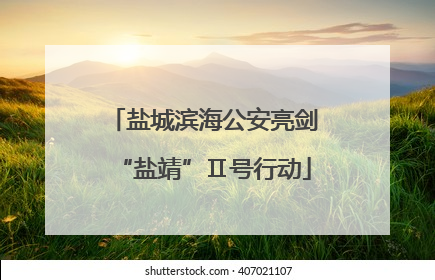 盐城滨海公安亮剑“盐靖”Ⅱ号行动