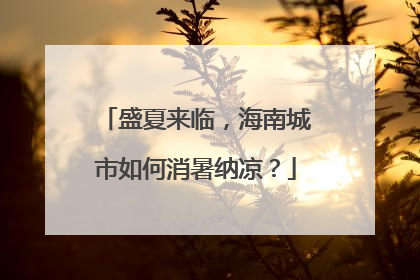 盛夏来临，海南城市如何消暑纳凉？