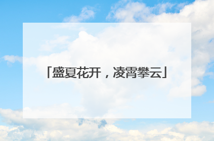 盛夏花开，凌霄攀云