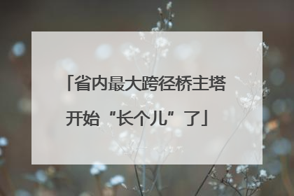省内最大跨径桥主塔开始“长个儿”了