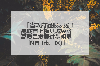 省政府通报表扬！禹城市上榜县域经济高质量发展进步明显的县 (市、区)