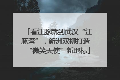 看江豚就到武汉“江豚湾”，新洲双柳打造“微笑天使”新地标