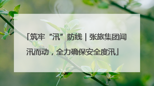 筑牢“汛”防线｜张旅集团闻汛而动，全力确保安全度汛