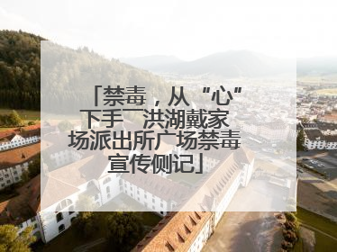 禁毒，从“心”下手――洪湖戴家场派出所广场禁毒宣传侧记