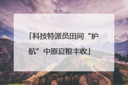 科技特派员田间“护航”中原夏粮丰收