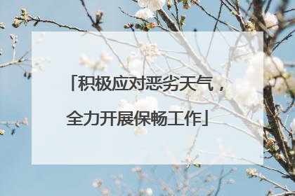 积极应对恶劣天气，全力开展保畅工作