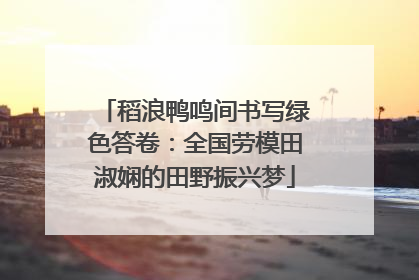 稻浪鸭鸣间书写绿色答卷：全国劳模田淑娴的田野振兴梦