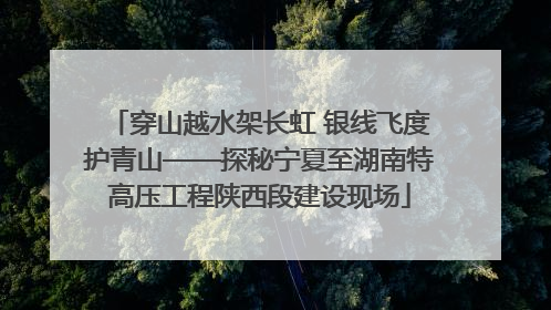 穿山越水架长虹 银线飞度护青山——探秘宁夏至湖南特高压工程陕西段建设现场