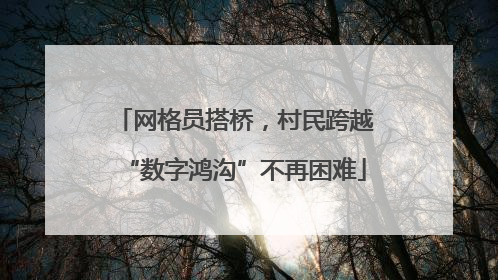 网格员搭桥，村民跨越“数字鸿沟”不再困难
