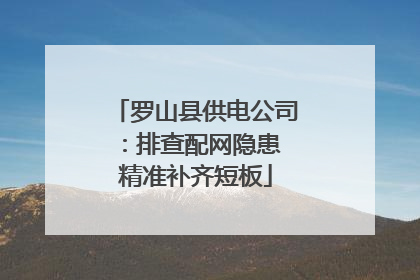 罗山县供电公司：排查配网隐患 精准补齐短板