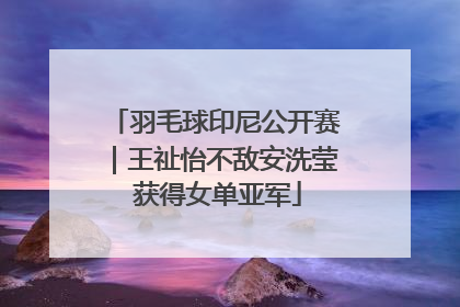 羽毛球印尼公开赛｜王祉怡不敌安洗莹 获得女单亚军