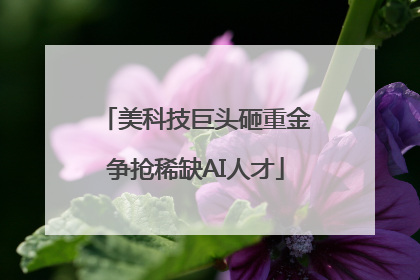 美科技巨头砸重金争抢稀缺AI人才