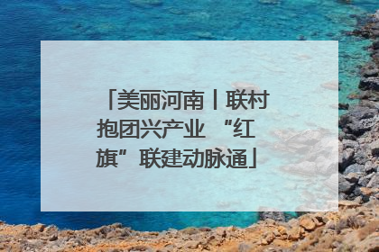 美丽河南丨联村抱团兴产业 “红旗”联建动脉通
