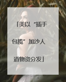 美以“插手包揽”加沙人道物资分发