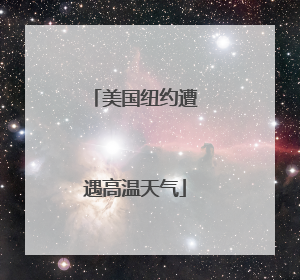美国纽约遭遇高温天气