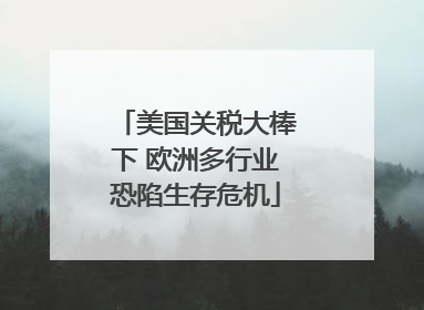 美国关税大棒下 欧洲多行业恐陷生存危机