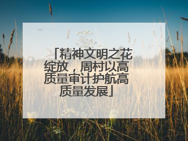 精神文明之花绽放，周村以高质量审计护航高质量发展