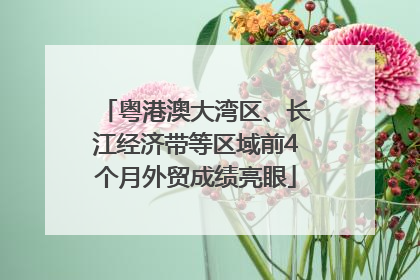 粤港澳大湾区、长江经济带等区域前4个月外贸成绩亮眼
