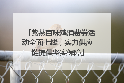 紫燕百味鸡消费券活动全面上线，实力供应链提供坚实保障
